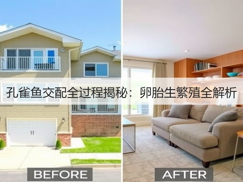 孔雀鱼交配全过程揭秘：卵胎生繁殖全解析