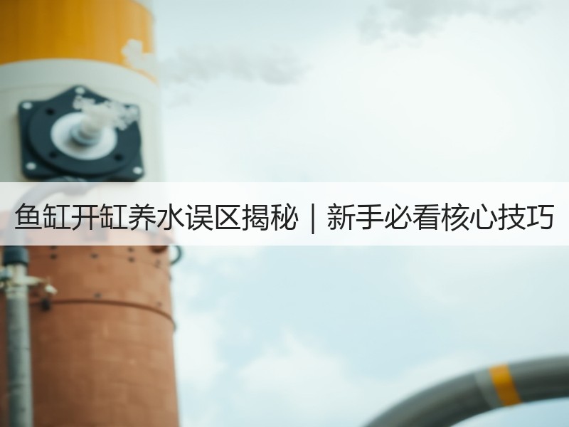 鱼缸开缸养水误区揭秘｜新手必看核心技巧