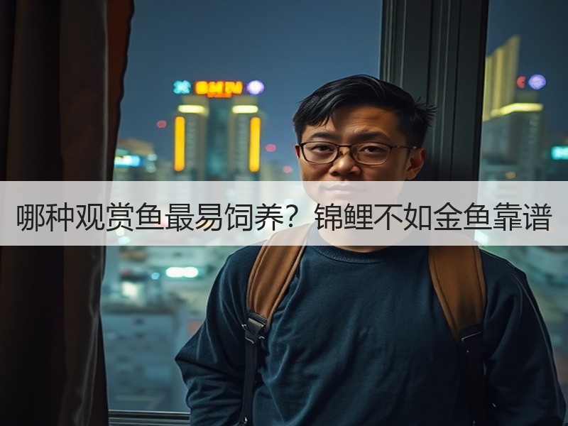 哪种观赏鱼最易饲养？锦鲤不如金鱼靠谱