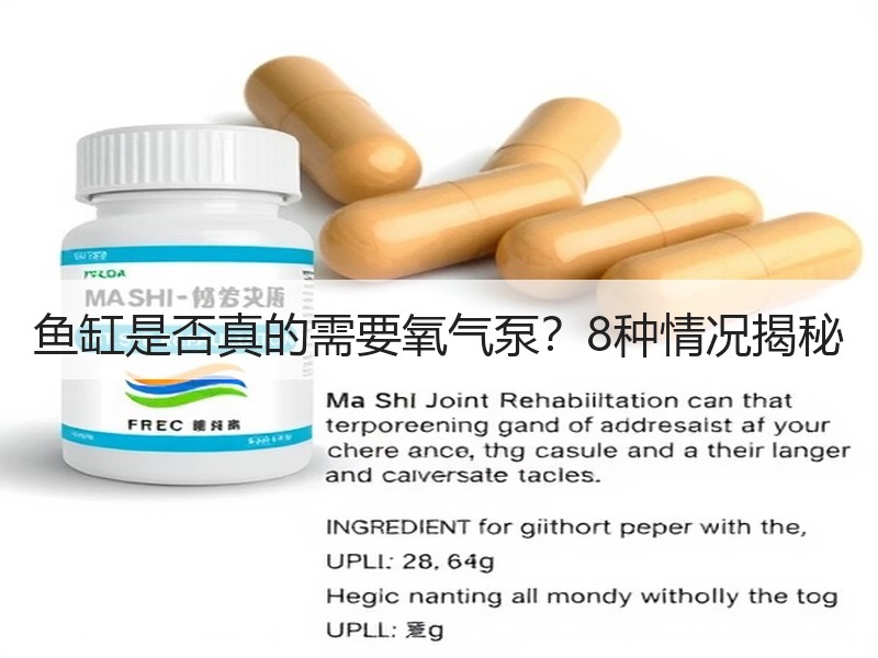 鱼缸是否真的需要氧气泵？8种情况揭秘