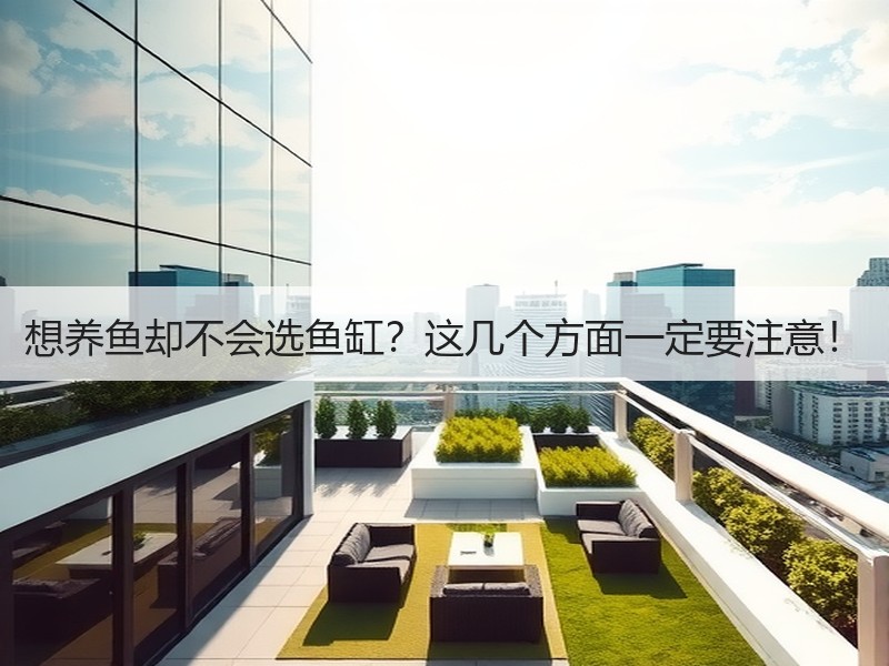 想养鱼却不会选鱼缸？这几个方面一定要注意