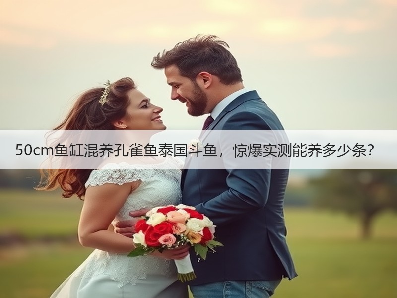 50cm鱼缸混养孔雀鱼泰国斗鱼，惊爆实测