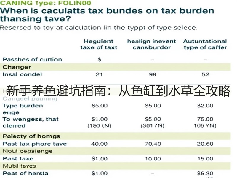 新手养鱼避坑指南：从鱼缸到水草全攻略