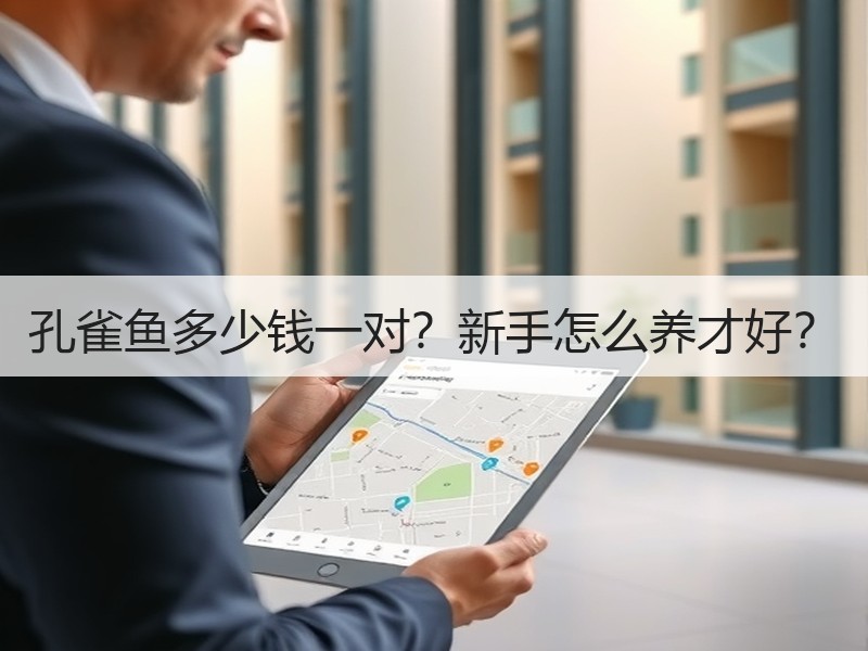 孔雀鱼多少钱一对？新手怎么养才好？