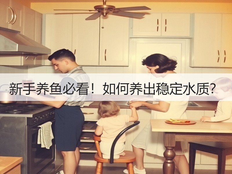 新手养鱼必看！如何养出稳定水质？