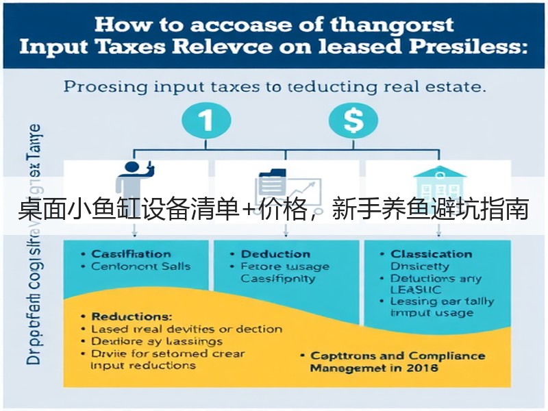 桌面小鱼缸设备清单+价格，新手养鱼避坑指