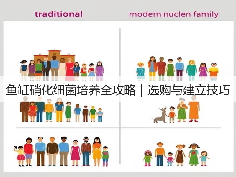鱼缸硝化细菌培养全攻略｜选购与建立技巧