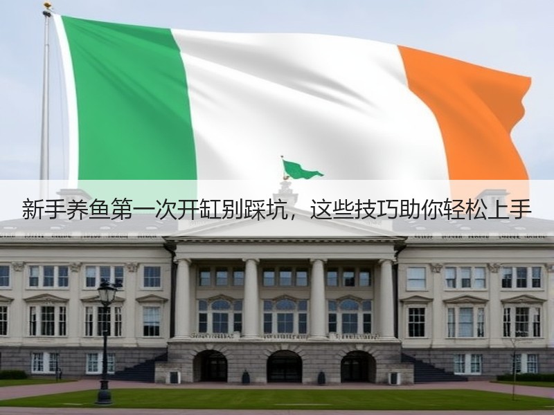 新手养鱼第一次开缸别踩坑，这些技巧助你轻