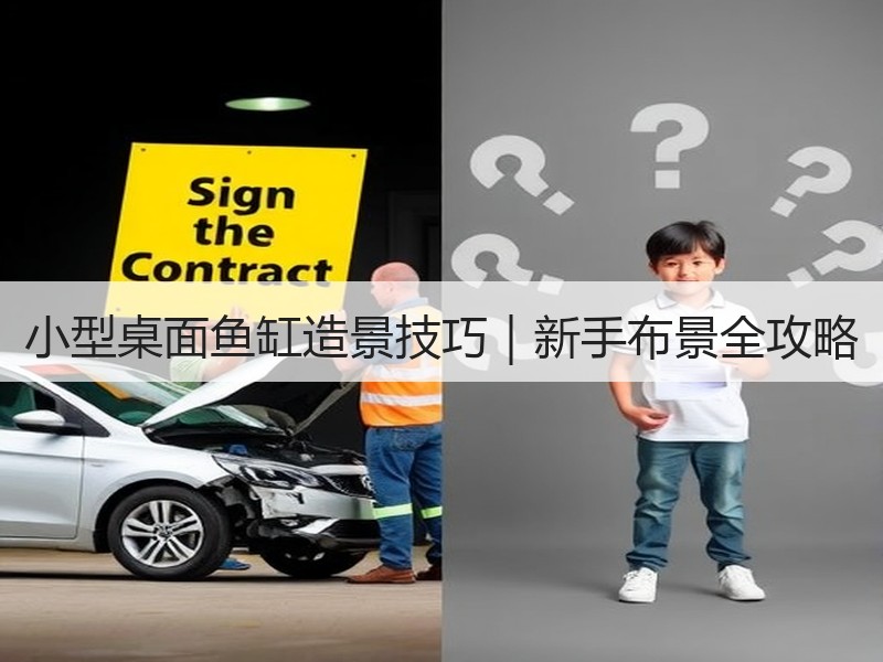 小型桌面鱼缸造景技巧｜新手布景全攻略