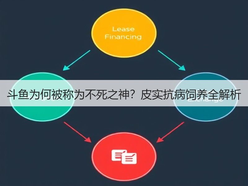 斗鱼为何被称为不死之神？皮实抗病饲养全解