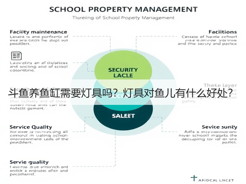 斗鱼养鱼缸需要灯具吗？灯具对鱼儿有什么好