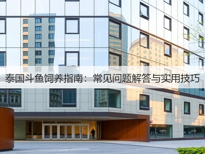 泰国斗鱼饲养指南：常见问题解答与实用技巧