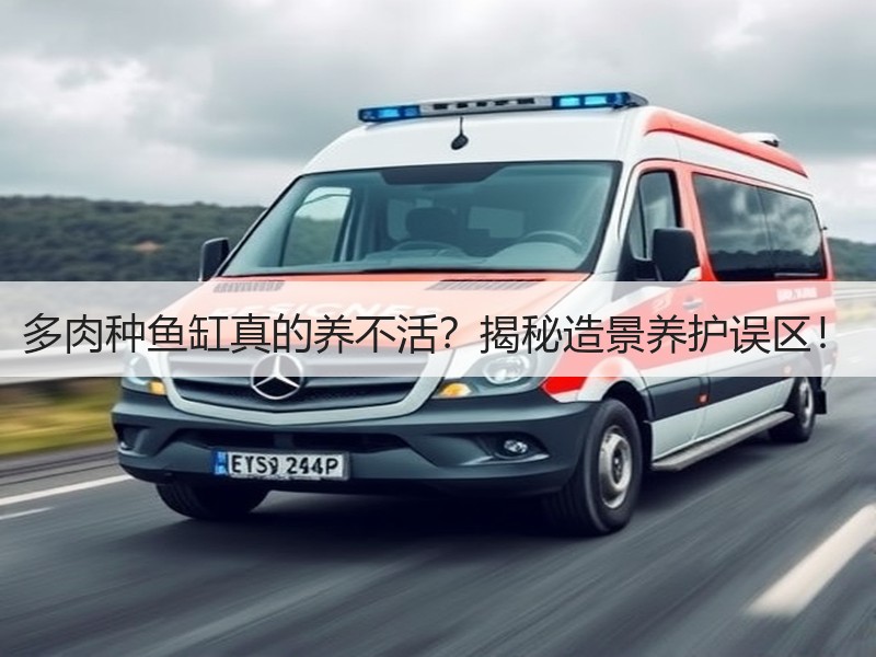 多肉种鱼缸真的养不活？揭秘造景养护误区！