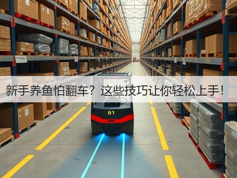 新手养鱼怕翻车？这些技巧让你轻松上手！