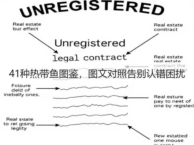 41种热带鱼图鉴，图文对照告别认错困扰