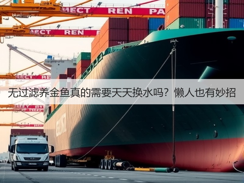 无过滤养金鱼真的需要天天换水吗？懒人也有
