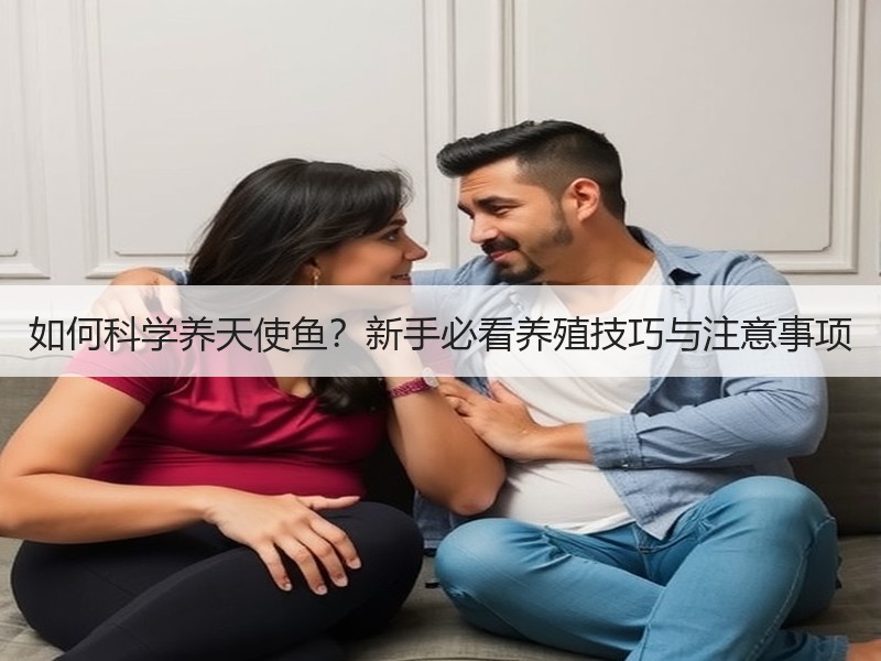 如何科学养天使鱼？新手必看养殖技巧与注意