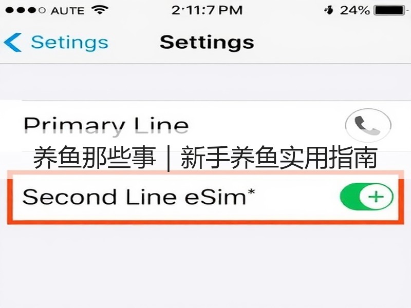 养鱼那些事｜新手养鱼实用指南