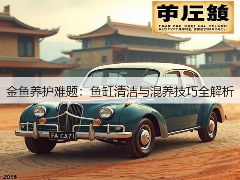 金鱼养护难题：鱼缸清洁与混养技巧全解析