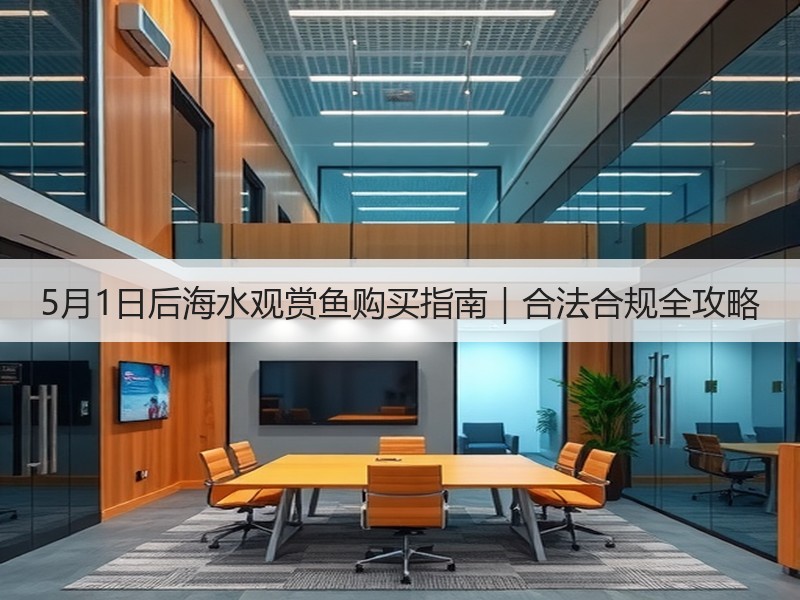 5月1日后海水观赏鱼购买指南｜合法合规全