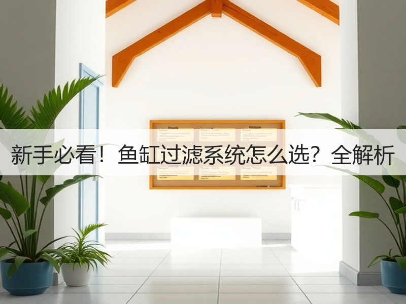 新手必看！鱼缸过滤系统怎么选？全解析