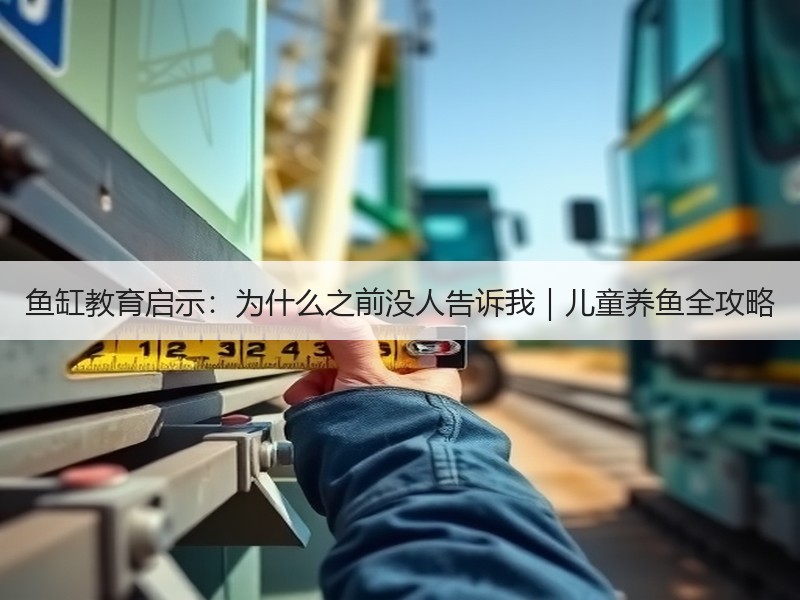鱼缸教育启示：为什么之前没人告诉我｜儿童