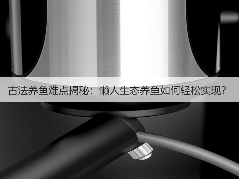 古法养鱼难点揭秘：懒人生态养鱼如何轻松实