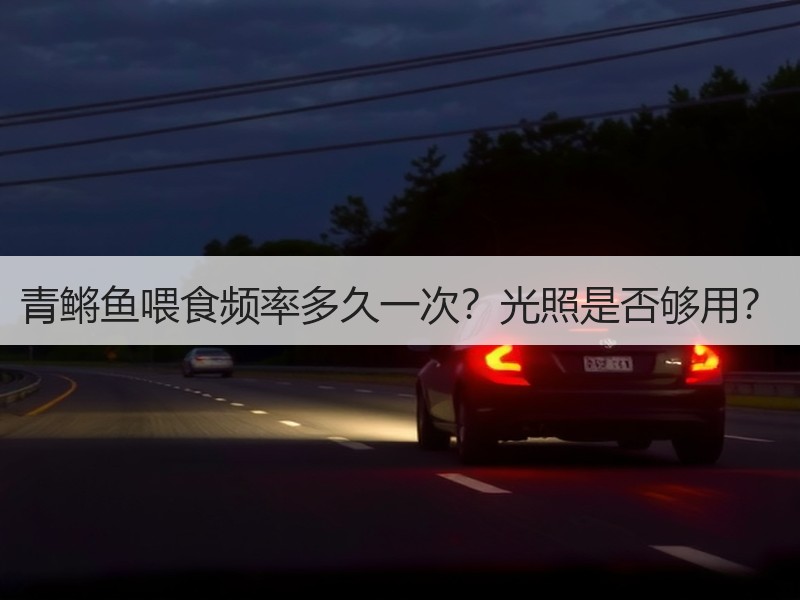 青鳉鱼喂食频率多久一次？光照是否够用？
