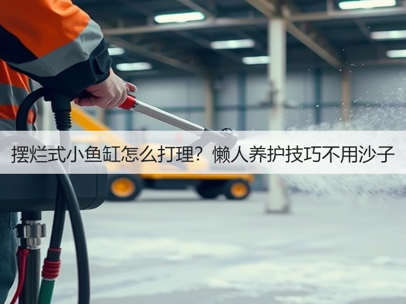 摆烂式小鱼缸怎么打理？懒人养护技巧不用沙