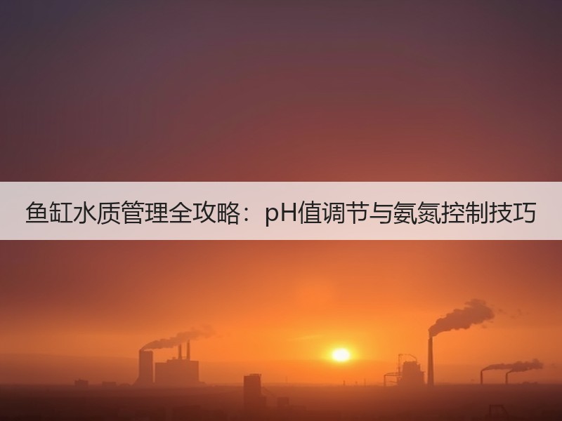 鱼缸水质管理全攻略：pH值调节与氨氮控制