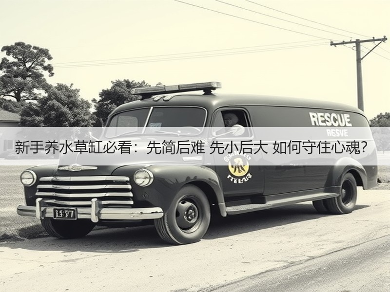 新手养水草缸必看：先简后难 先小后大 如
