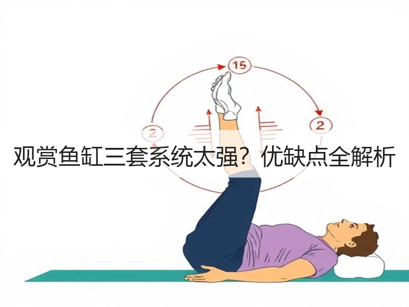 观赏鱼缸三套系统太强？优缺点全解析
