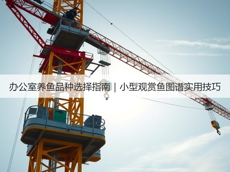 办公室养鱼品种选择指南｜小型观赏鱼图谱实