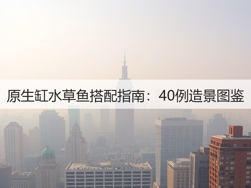 原生缸水草鱼搭配指南：40例造景图鉴