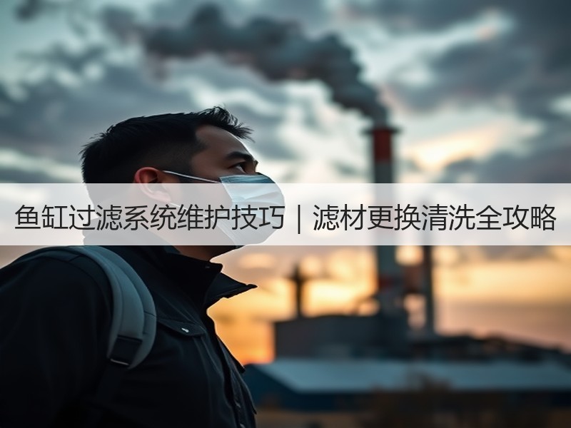 鱼缸过滤系统维护技巧｜滤材更换清洗全攻略