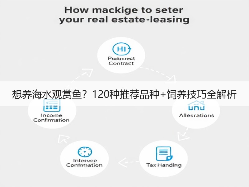 想养海水观赏鱼？120种推荐品种+饲养技巧全解析