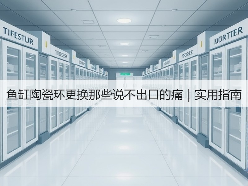 鱼缸陶瓷环更换那些说不出口的痛｜实用指南