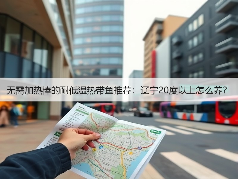 无需加热棒的耐低温热带鱼推荐：辽宁20度