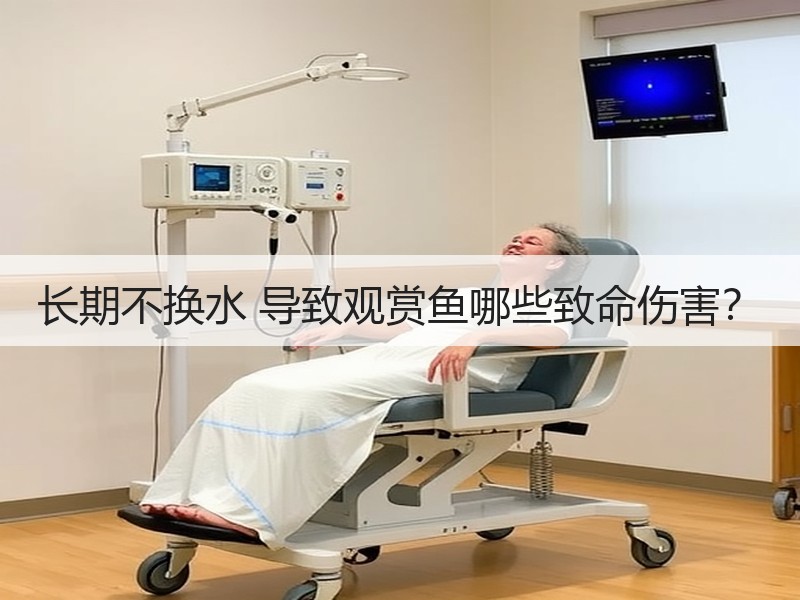 长期不换水 导致观赏鱼哪些致命伤害？
