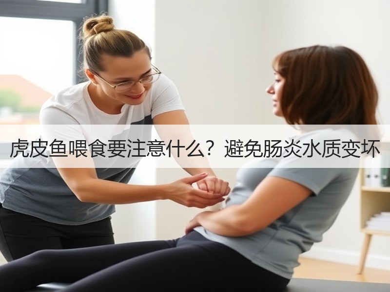 虎皮鱼喂食要注意什么？避免肠炎水质变坏