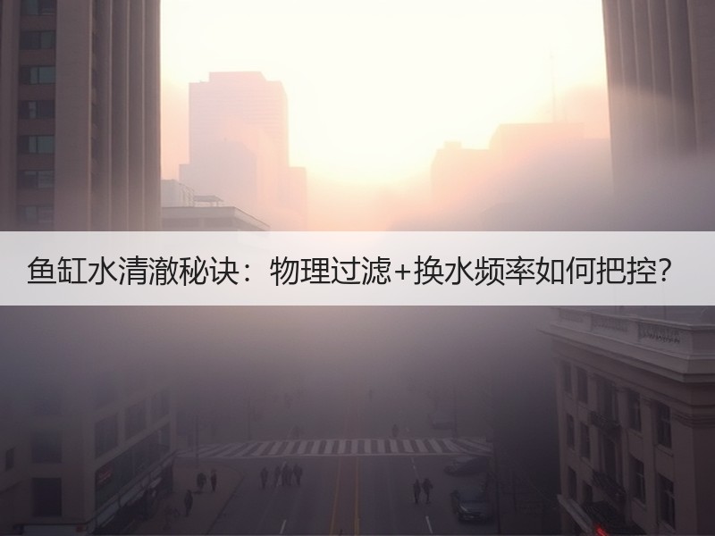 鱼缸水清澈秘诀：物理过滤+换水频率如何把