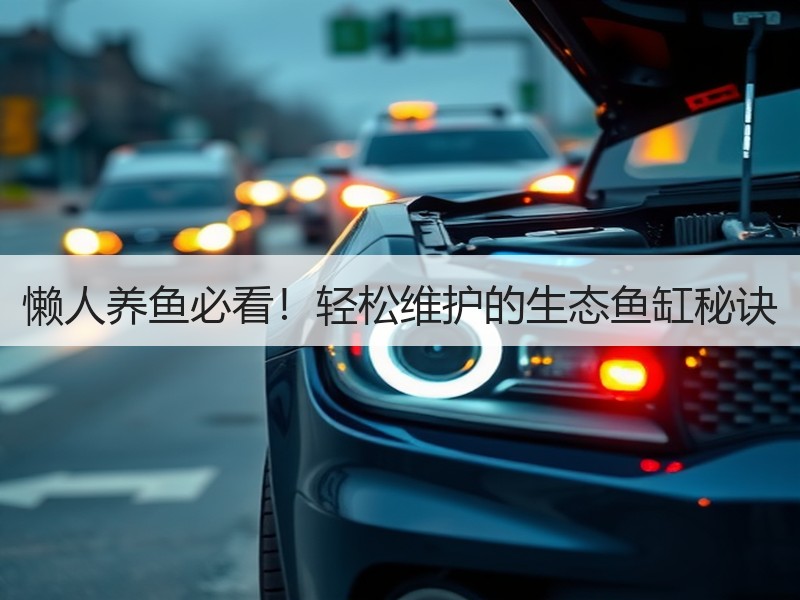 懒人养鱼必看！轻松维护的生态鱼缸秘诀