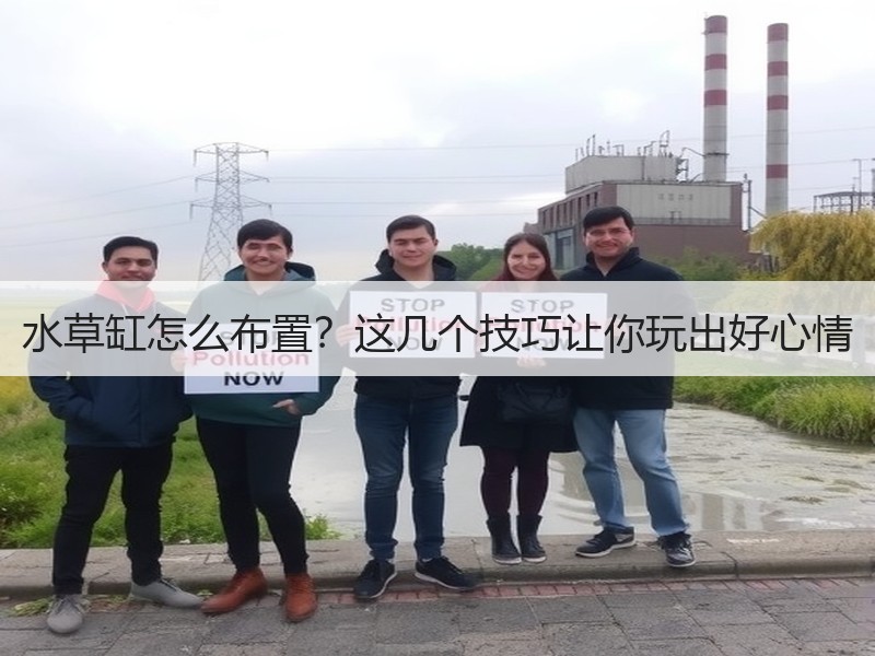 水草缸怎么布置？这几个技巧让你玩出好心情