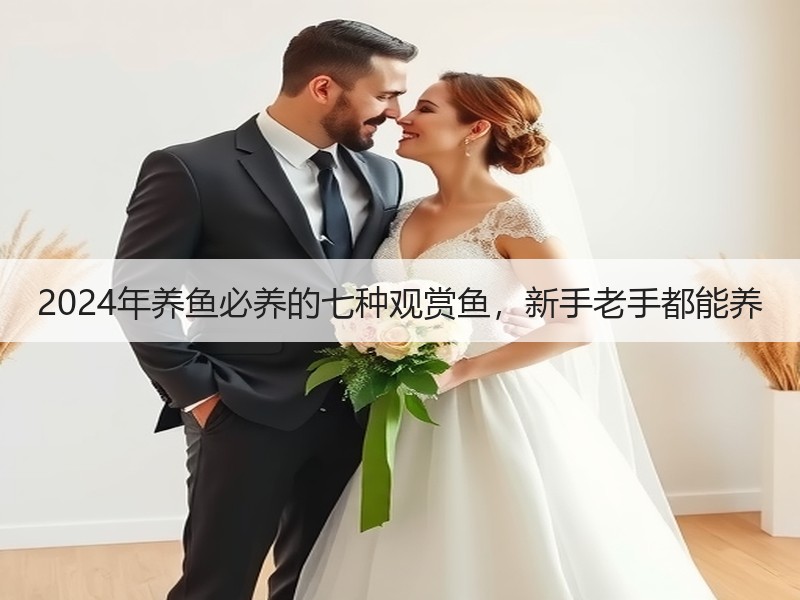 2024年养鱼必养的七种观赏鱼，新手老手