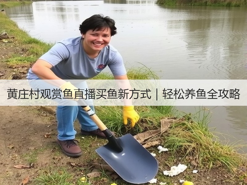 黄庄村观赏鱼直播买鱼新方式｜轻松养鱼全攻