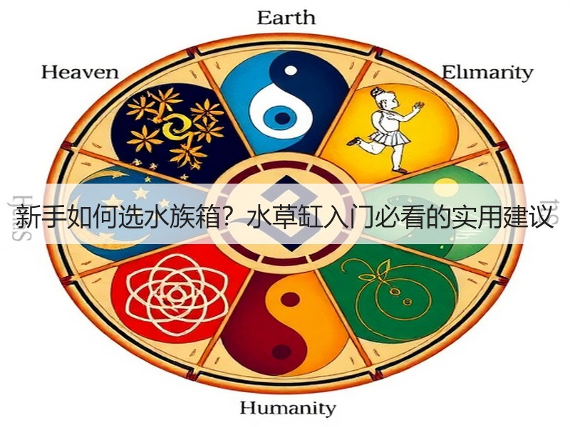 新手如何选水族箱？水草缸入门必看的实用建