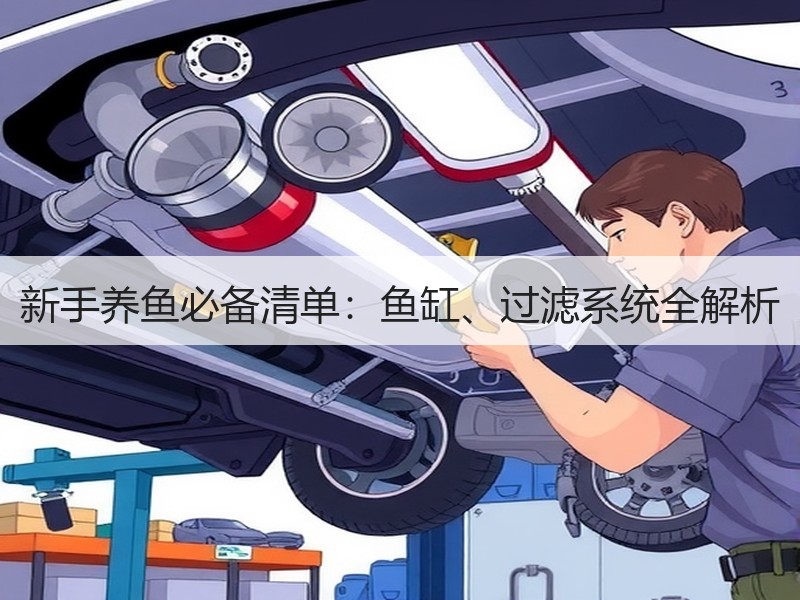 新手养鱼必备清单：鱼缸、过滤系统全解析