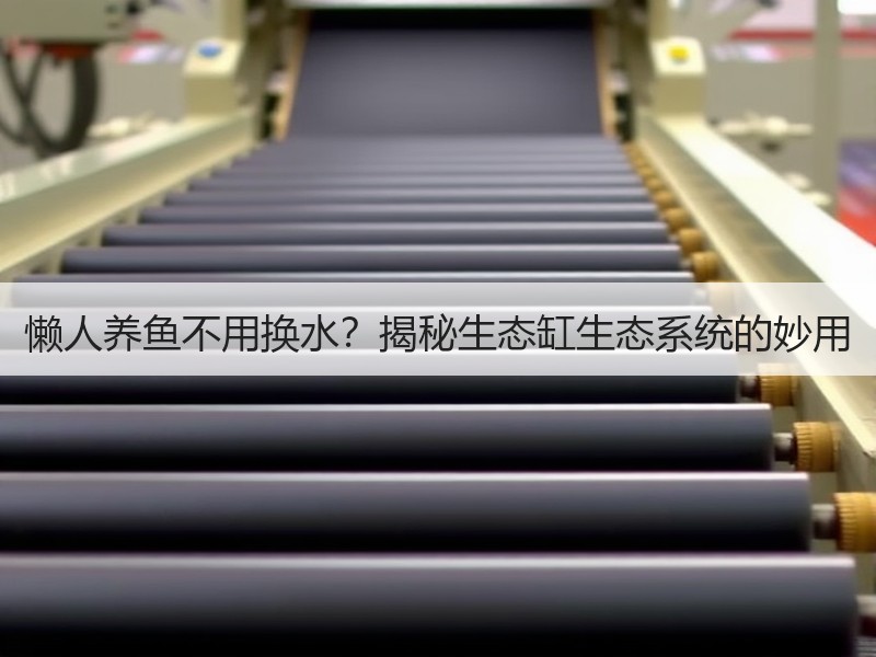 懒人养鱼不用换水？揭秘生态缸生态系统的妙