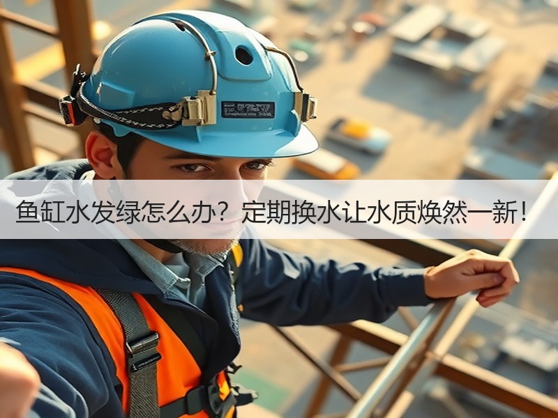 鱼缸水发绿怎么办？定期换水让水质焕然一新