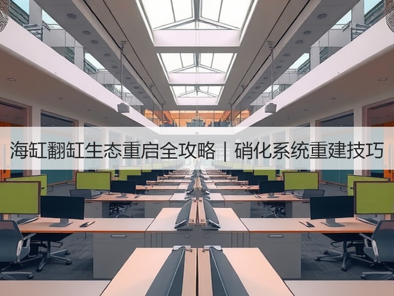 海缸翻缸生态重启全攻略｜硝化系统重建技巧